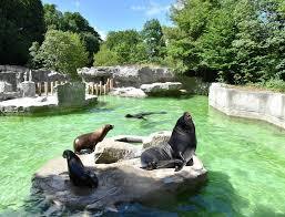 Zoo di Hellabrunn